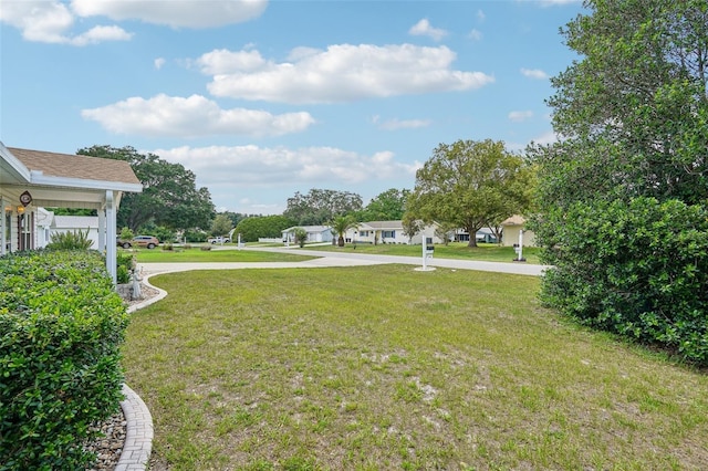 6448 SW 111th Pl, Ocala, FL 34476 - view of grassy yard