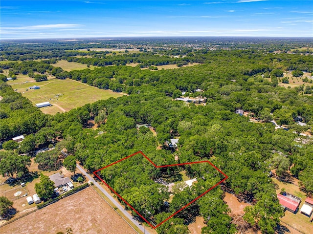 200 SE 145th St, Summerfield, FL 34491 - view of property location featuring property boundaries highlighted and a heavily wooded area