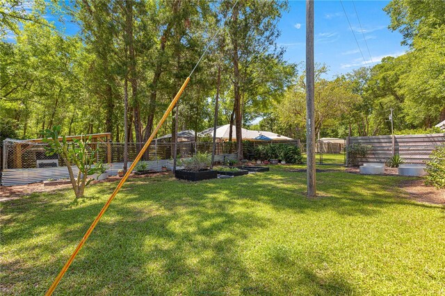 200 SE 145th St, Summerfield, FL 34491 - view of yard