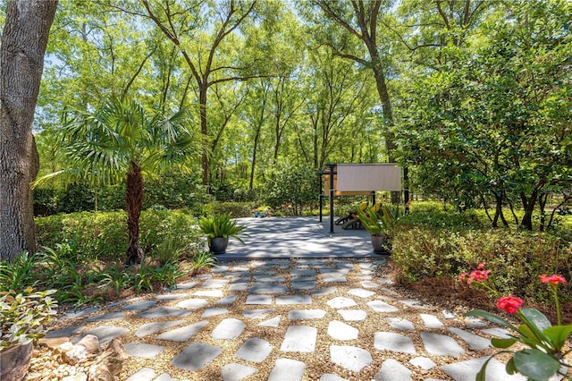 200 SE 145th St, Summerfield, FL 34491 - view of community