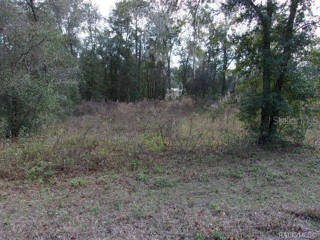 6700 E Haynes Ln, Inverness, FL 34452 - photo 1
