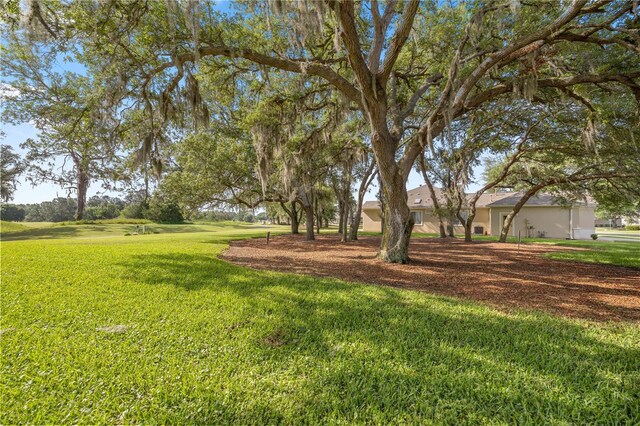 13015 SE 93rd Cir, Summerfield, FL 34491 - photo 38