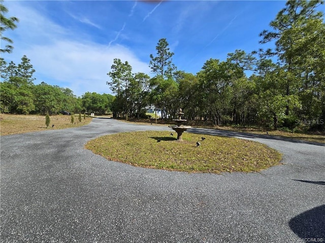 4710 W Mustang Blvd, Beverly Hills, FL 34465 - view of road