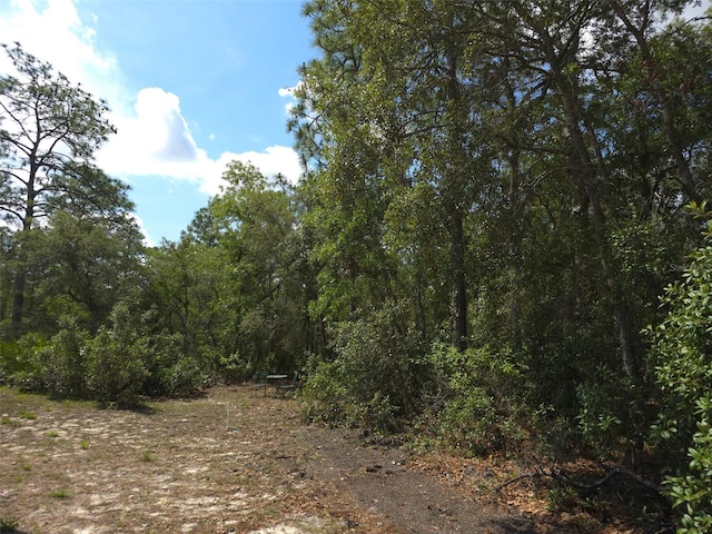 4710 W Mustang Blvd, Beverly Hills, FL 34465 - view of wooded area