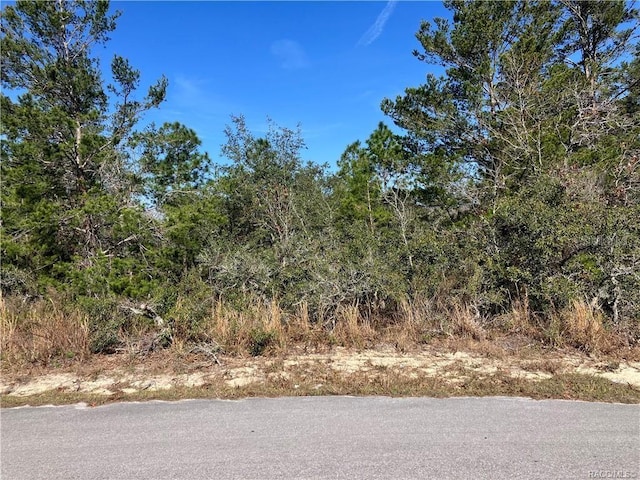 19 Rudbeckia Ct, Homosassa, FL 34446