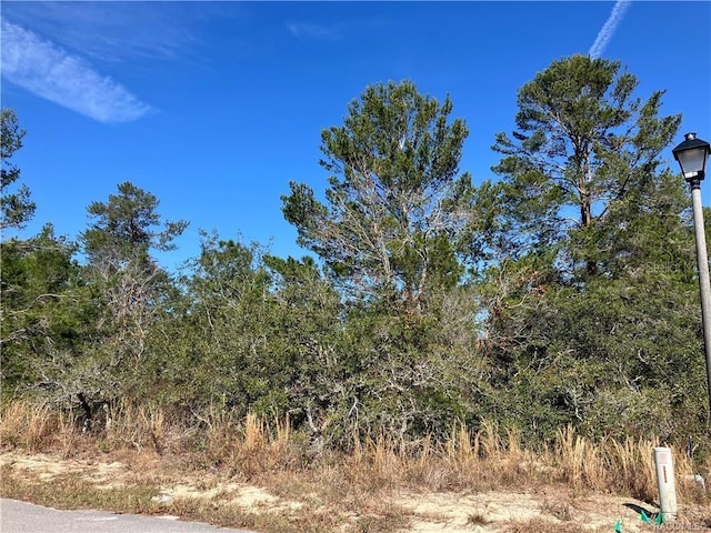 17 Rudbeckia Ct, Homosassa, FL 34446