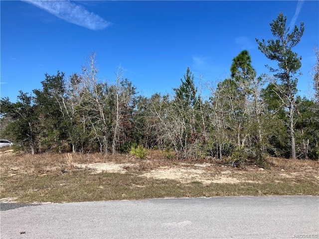 17 Rudbeckia Ct, Homosassa, FL 34446