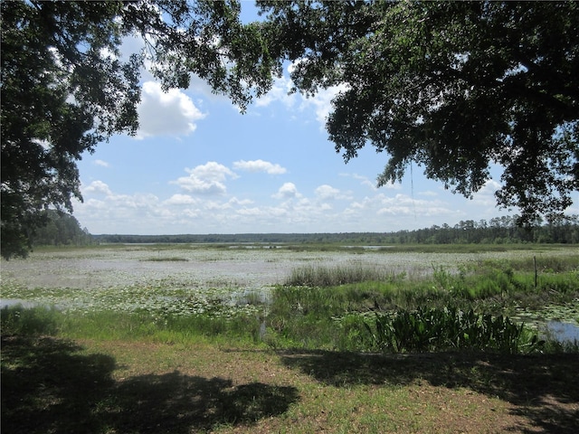1675 SE 190th Ave, Silver Springs, FL 34488 - water view with rural landscape