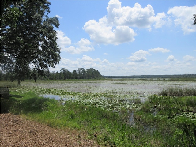1675 SE 190th Ave, Silver Springs, FL 34488 - water view