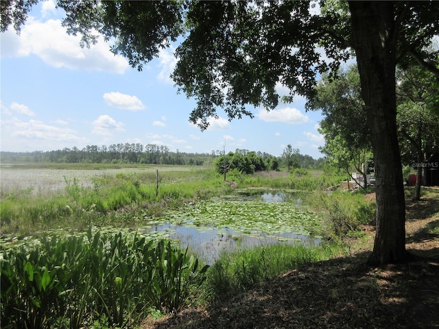 1675 SE 190th Ave, Silver Springs, FL 34488 - water view