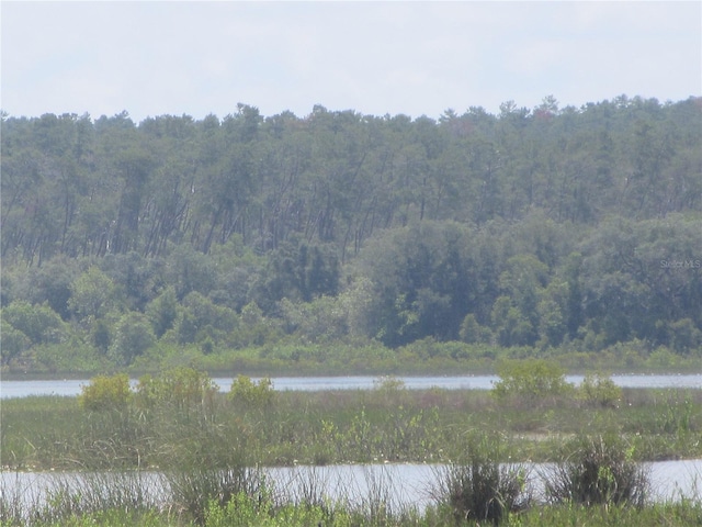 1675 SE 190th Ave, Silver Springs, FL 34488 - water view with a forest