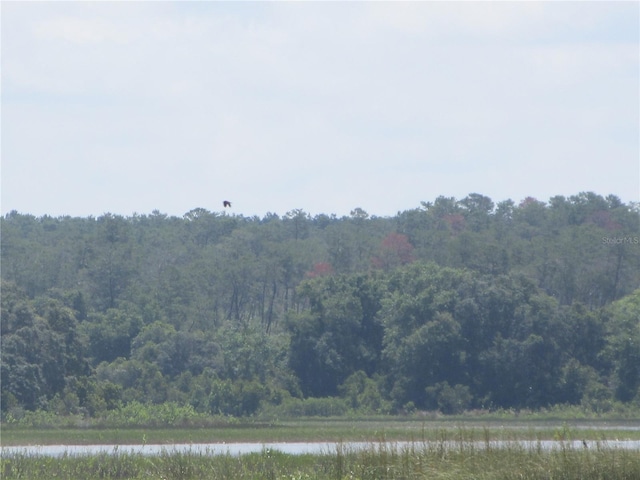 1675 SE 190th Ave, Silver Springs, FL 34488 - water view with a forest