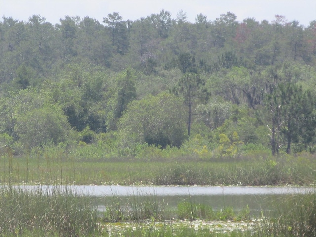 1675 SE 190th Ave, Silver Springs, FL 34488 - view of tree filled area with a water view