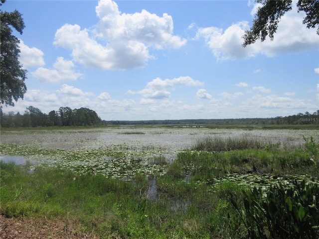 1675 SE 190th Ave, Silver Springs, FL 34488 - water view featuring rural landscape