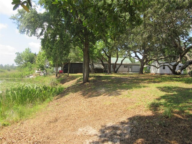 1675 SE 190th Ave, Silver Springs, FL 34488 - view of yard