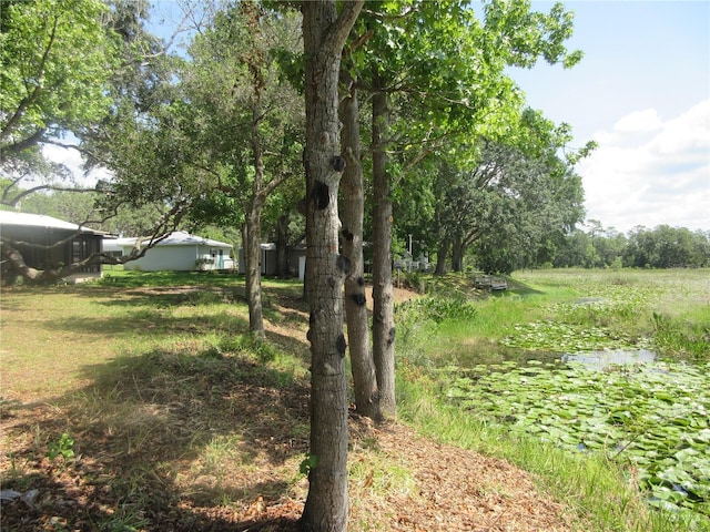 1675 SE 190th Ave, Silver Springs, FL 34488 - view of yard