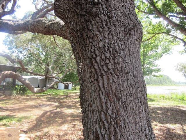 1675 SE 190th Ave, Silver Springs, FL 34488 - view of yard