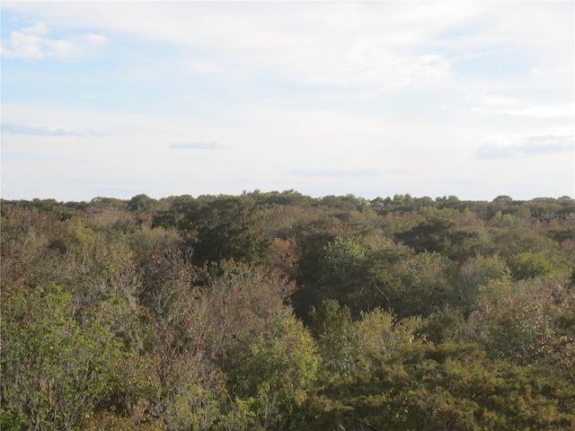 1675 SE 190th Ave, Silver Springs, FL 34488 - view of tree filled area