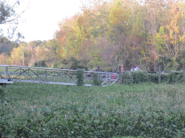 1675 SE 190th Ave, Silver Springs, FL 34488 - view of yard with a view of trees