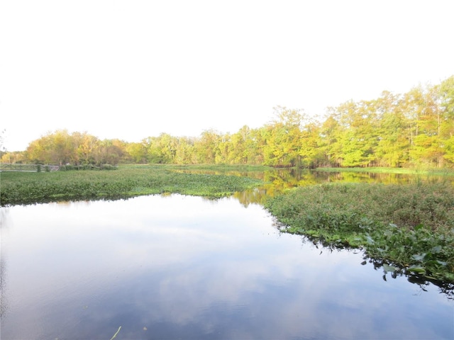1675 SE 190th Ave, Silver Springs, FL 34488 - water view with a heavily wooded area