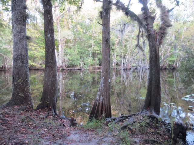 1675 SE 190th Ave, Silver Springs, FL 34488 - water view featuring a forest