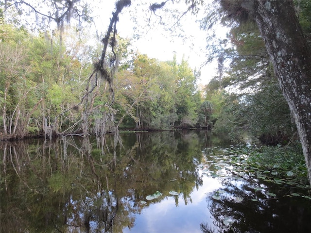1675 SE 190th Ave, Silver Springs, FL 34488 - water view featuring a heavily wooded area