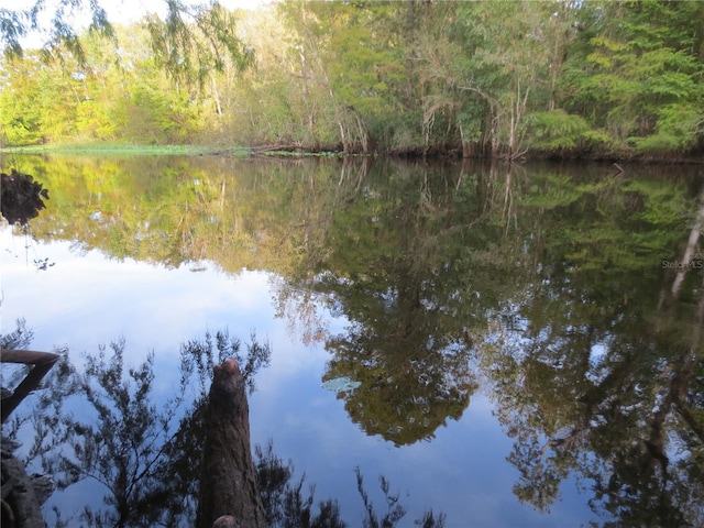 1675 SE 190th Ave, Silver Springs, FL 34488 - water view featuring a heavily wooded area
