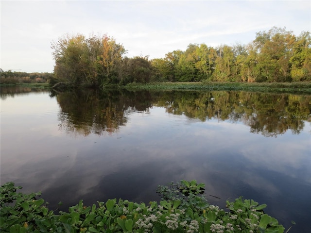1675 SE 190th Ave, Silver Springs, FL 34488 - water view featuring a heavily wooded area