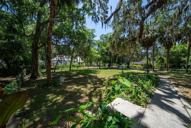 20549 9th St, Mc Intosh, FL 32664 - photo 77