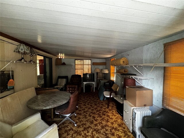 20704 SW Rainbow Lakes Blvd, Dunnellon, FL 34431 - carpeted office with lofted ceiling