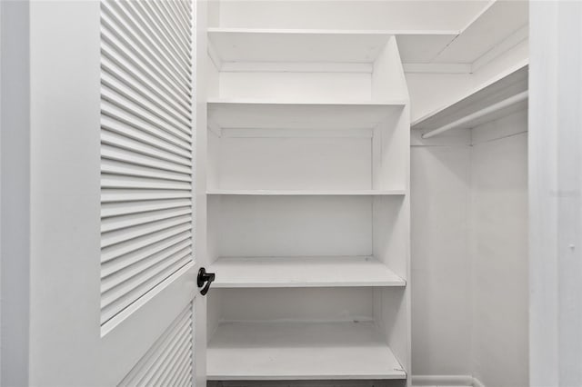 1812 SE 38th Ave, Ocala, FL 34471 - view of spacious closet