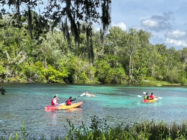85 NW 45th Loop, Ocala, FL 34475 - water view featuring a heavily wooded area