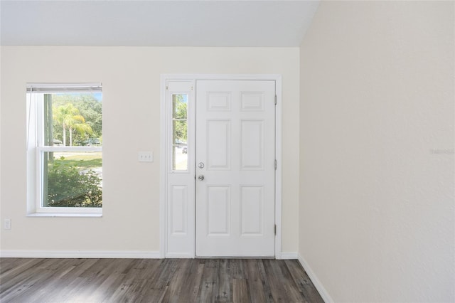 5425 Pecan Rd, Ocala, FL 34472 - foyer with dark wood-style floors, healthy amount of natural light, and baseboards