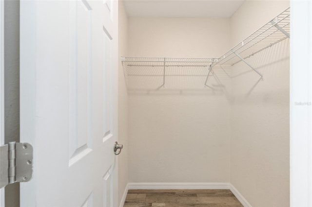 5425 Pecan Rd, Ocala, FL 34472 - walk in closet featuring light wood finished floors