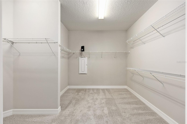 9777 SW 63rd Loop, Ocala, FL 34481 - spacious closet featuring carpet floors and electric panel