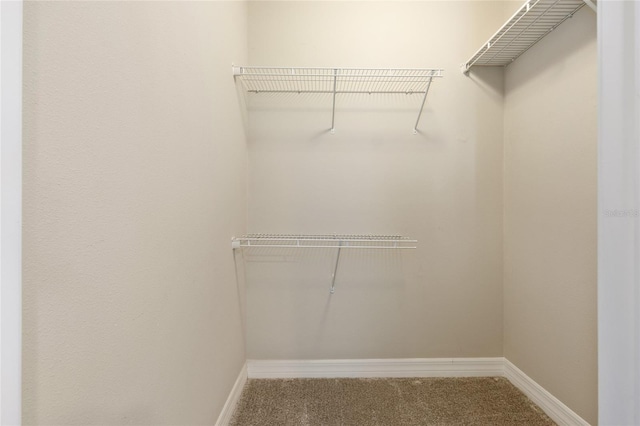 9777 SW 63rd Loop, Ocala, FL 34481 - spacious closet featuring carpet