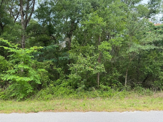 LOT14 SW Chanel Heights Ct, Dunnellon, FL 34431