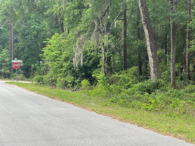 LOT14 SW Chanel Heights Ct, Dunnellon, FL 34431