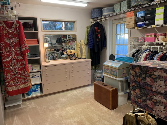 4305 SW 20th Ave, Ocala, FL 34471 - walk in closet featuring carpet flooring