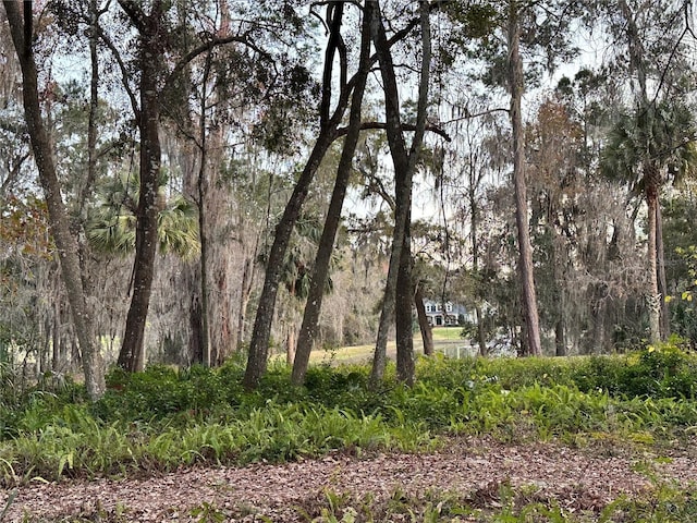 4305 SW 20th Ave, Ocala, FL 34471 - view of undeveloped land