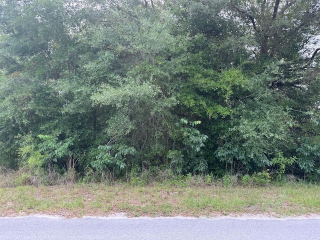LOT422 SW Shorewood Dr, Dunnellon, FL 34431