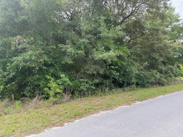 LOT422 SW Shorewood Dr, Dunnellon, FL 34431