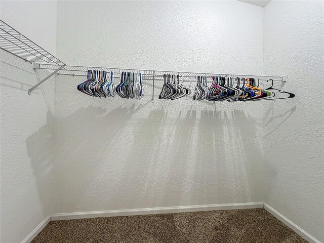 12352 SE 86th Ct, Belleview, FL 34420 - walk in closet with carpet floors