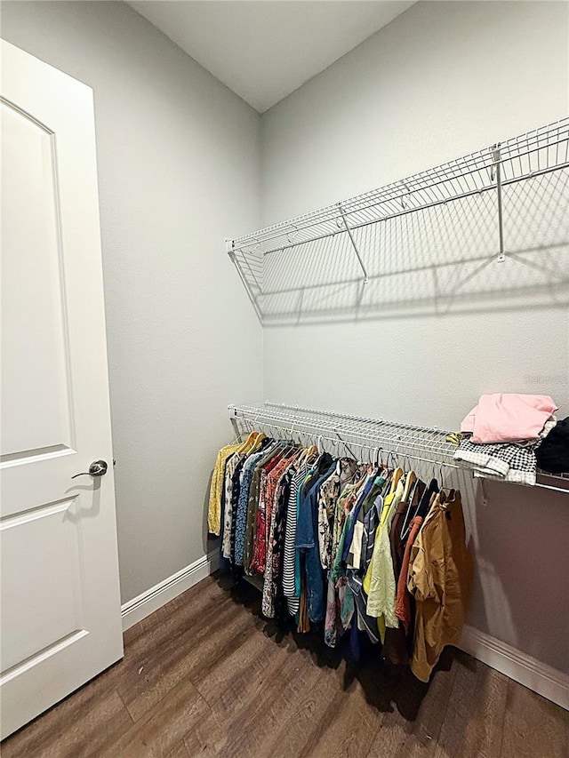 10208 SE 170th Pl, Summerfield, FL 34491 - spacious closet with wood finished floors