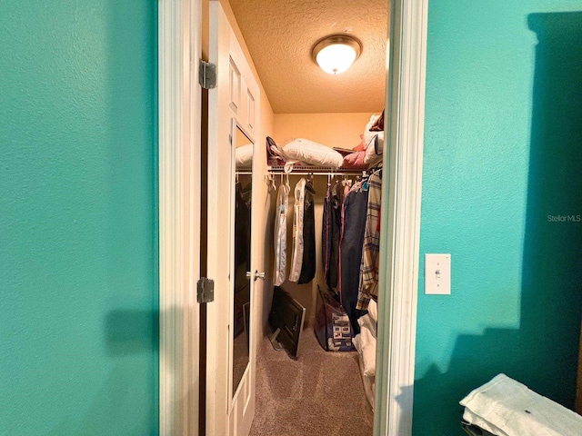 14 Dogwood Drive Radl, Ocala, FL 34472 - spacious closet featuring carpet
