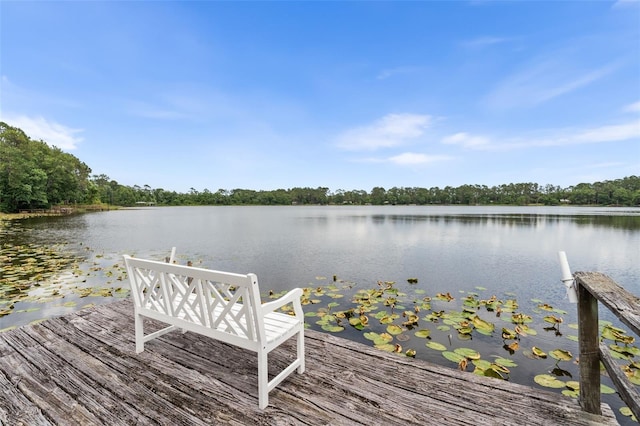 283 Riley Lake Dr, Hawthorne, FL 32640 - dock with a water view