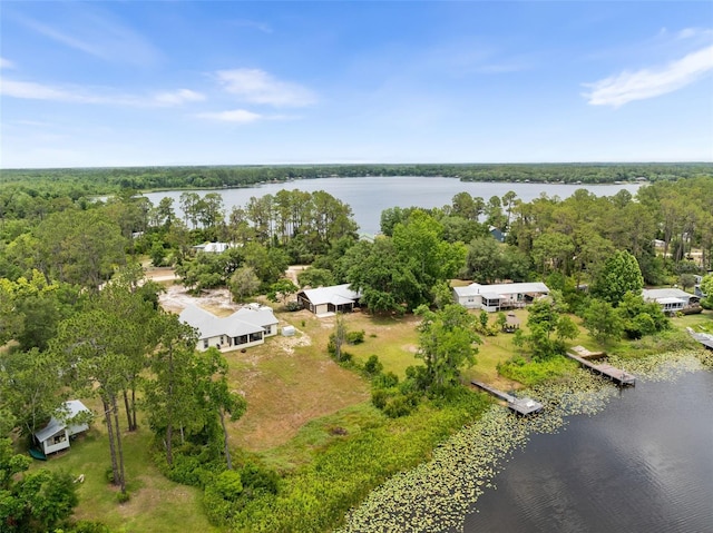 283 Riley Lake Dr, Hawthorne, FL 32640 - view of property location featuring a nearby body of water and a forest