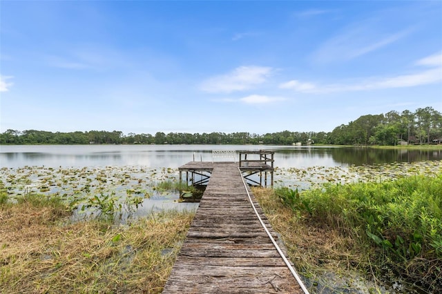 283 Riley Lake Dr, Hawthorne, FL 32640 - dock featuring a water view