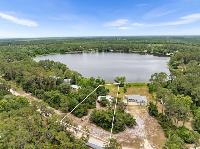 283 Riley Lake Dr, Hawthorne, FL 32640 - aerial view of property's location featuring a forest, property boundaries highlighted, and a nearby body of water
