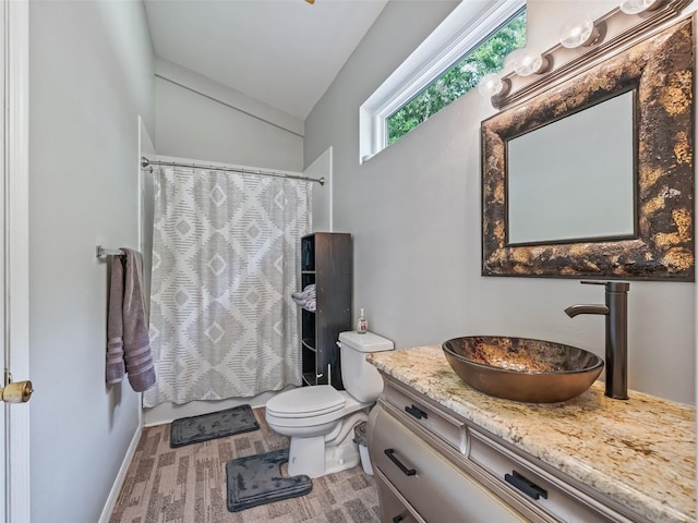 402 SW 127th Pl, Ocala, FL 34473 - bathroom with toilet, vanity, vaulted ceiling, and curtained shower